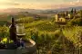 best wine regions90x60 best wine regions90x60